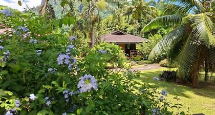 Village Temanoha