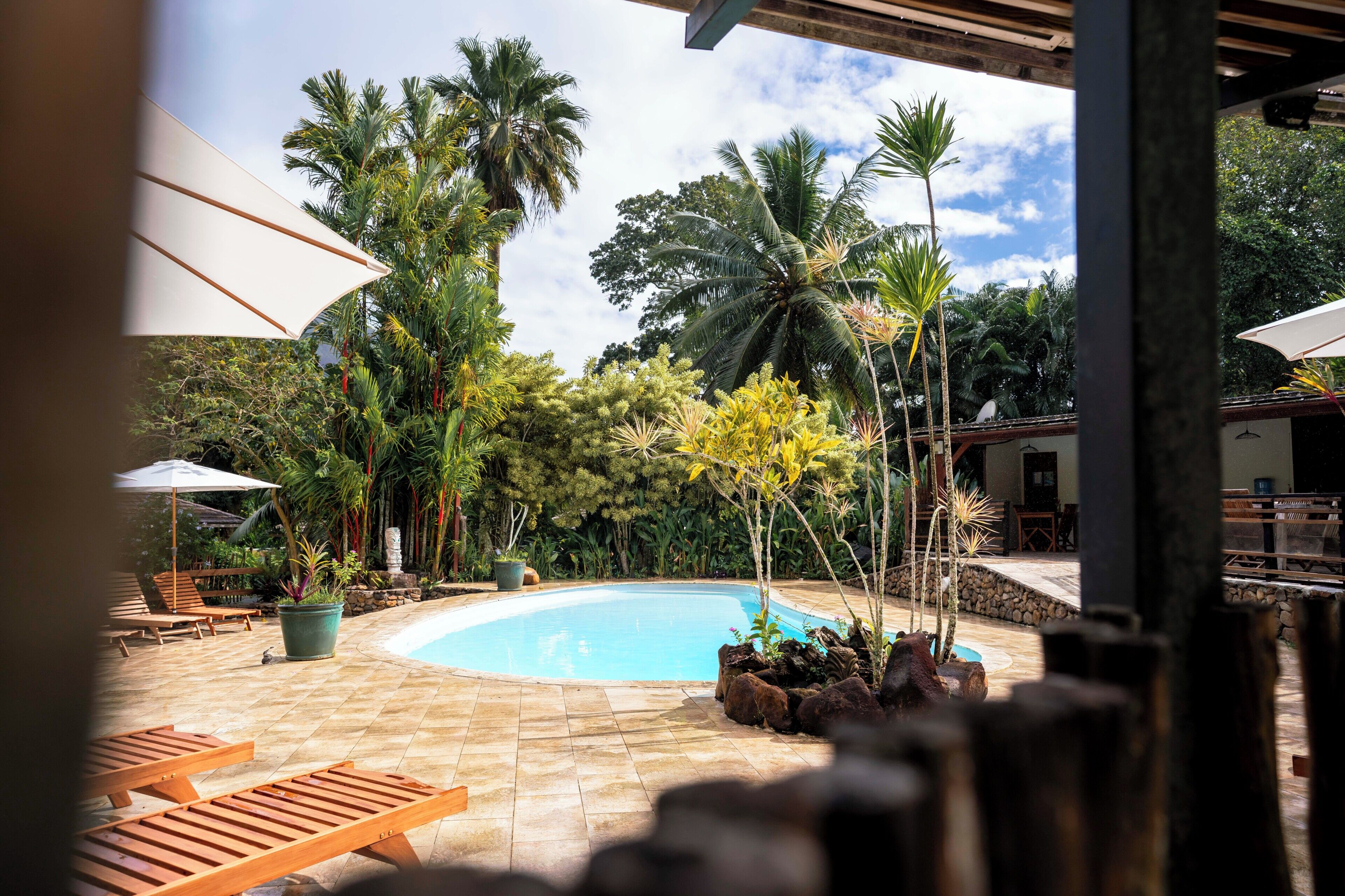 Una piscina al aire libre, sombrillas, sillones reclinables de piscina