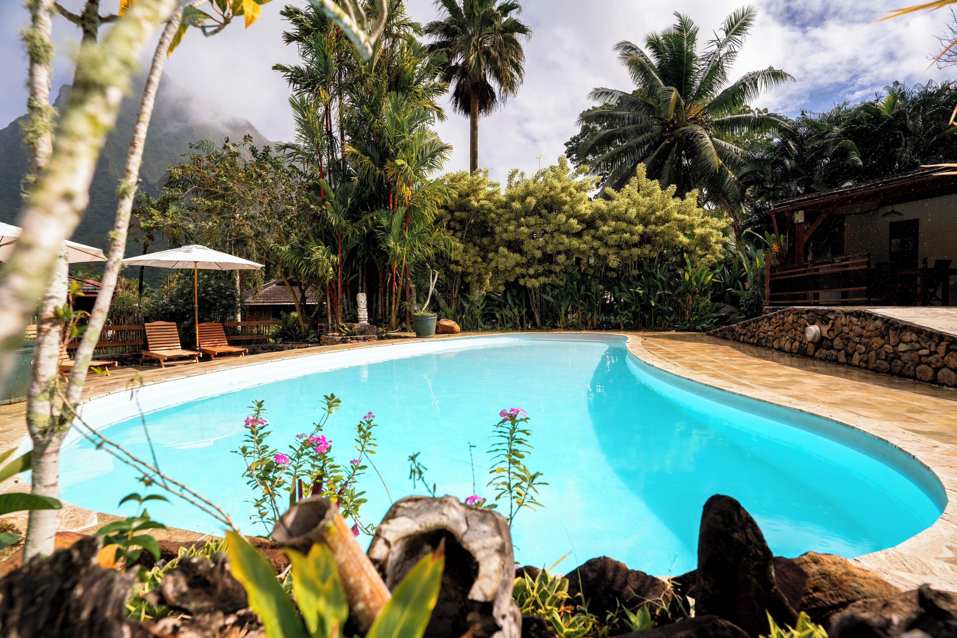 Outdoor pool, pool umbrellas, sun loungers