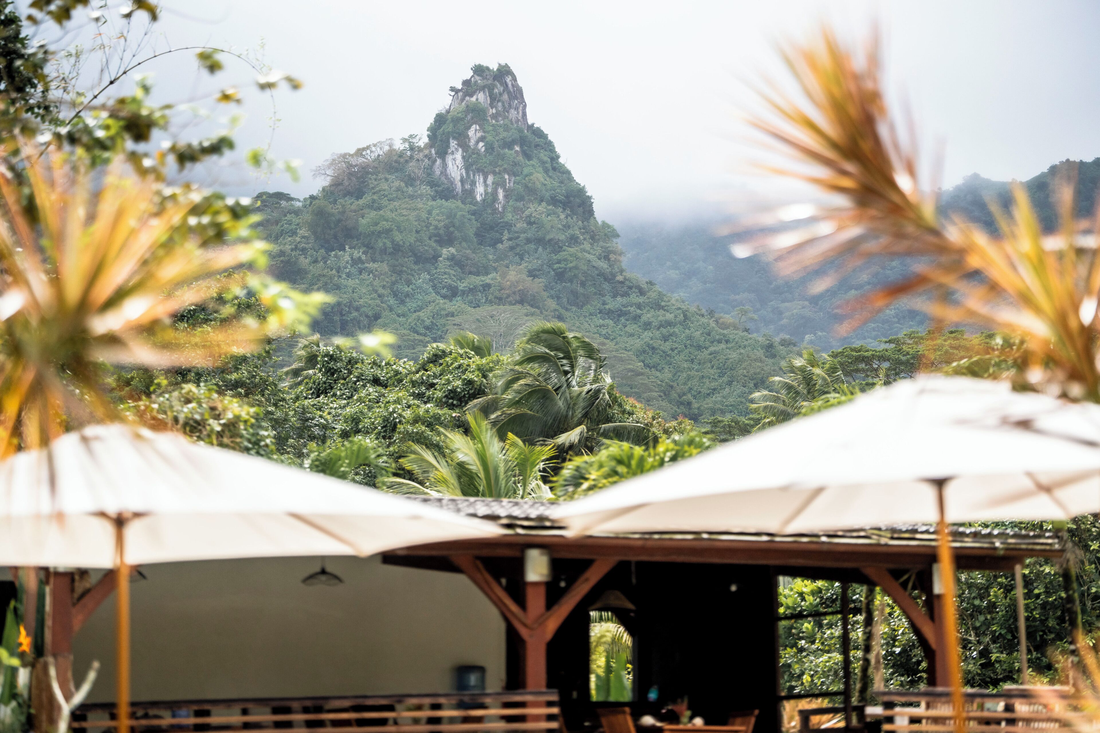 A view of a mountain with lush greenery, a gazebo with umbrellas, and a building in the foreground.