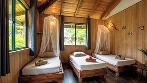 Een houten kamer met drie bedden, elk voorzien van een hemelbed, en een groot raam.
