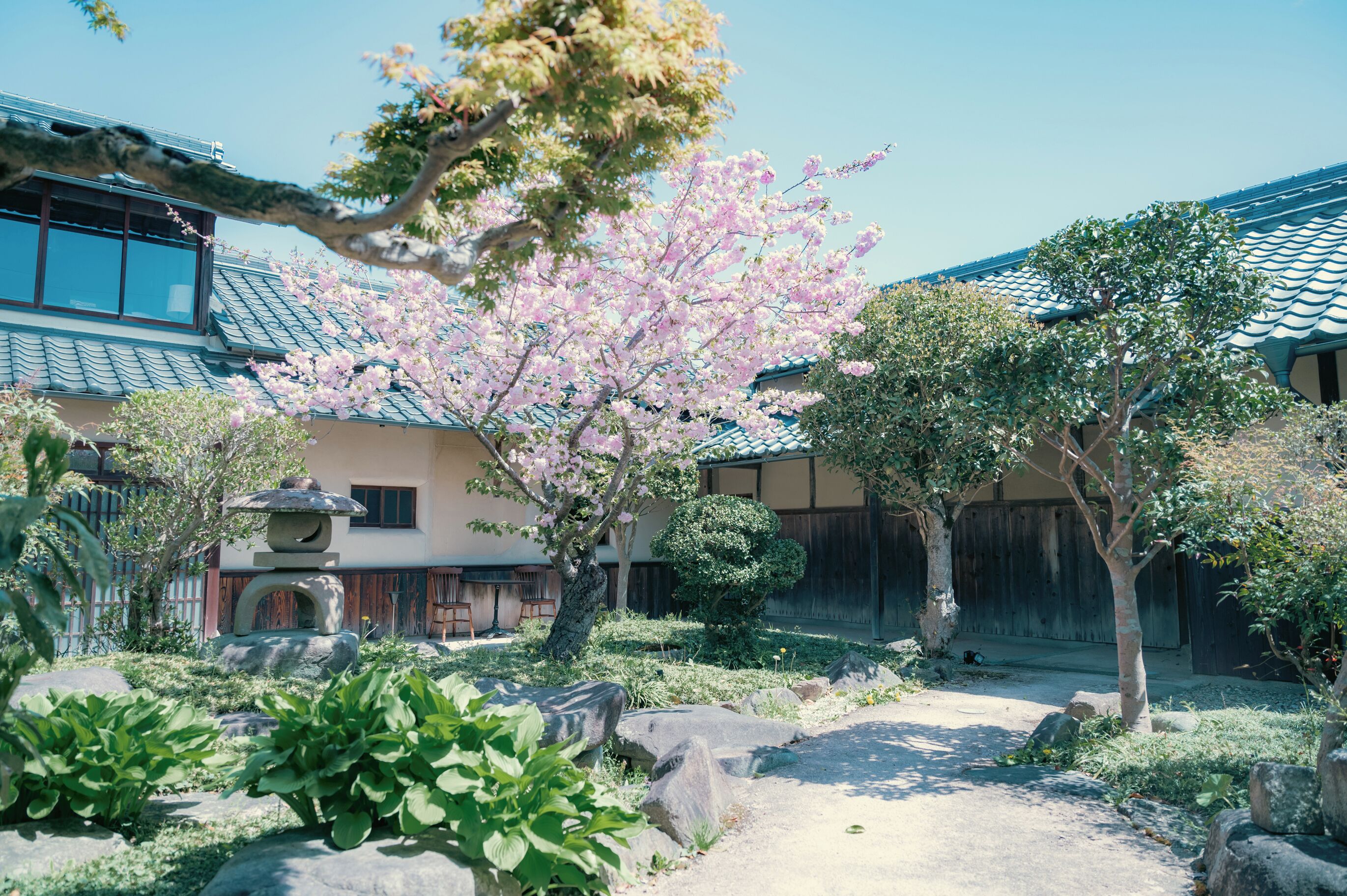 A traditional Japanese building with a tiled roof, surrounded by a garden with cherry blossoms and a stone lantern.