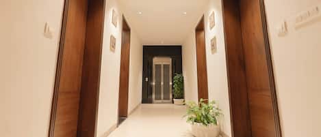 A hallway with wooden doors, a potted plant, and a door at the end.