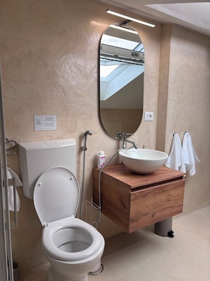 A bathroom with a toilet, a sink, and a mirror. - Cozy attic with a panoramic view from the skylight. (Sirolo)