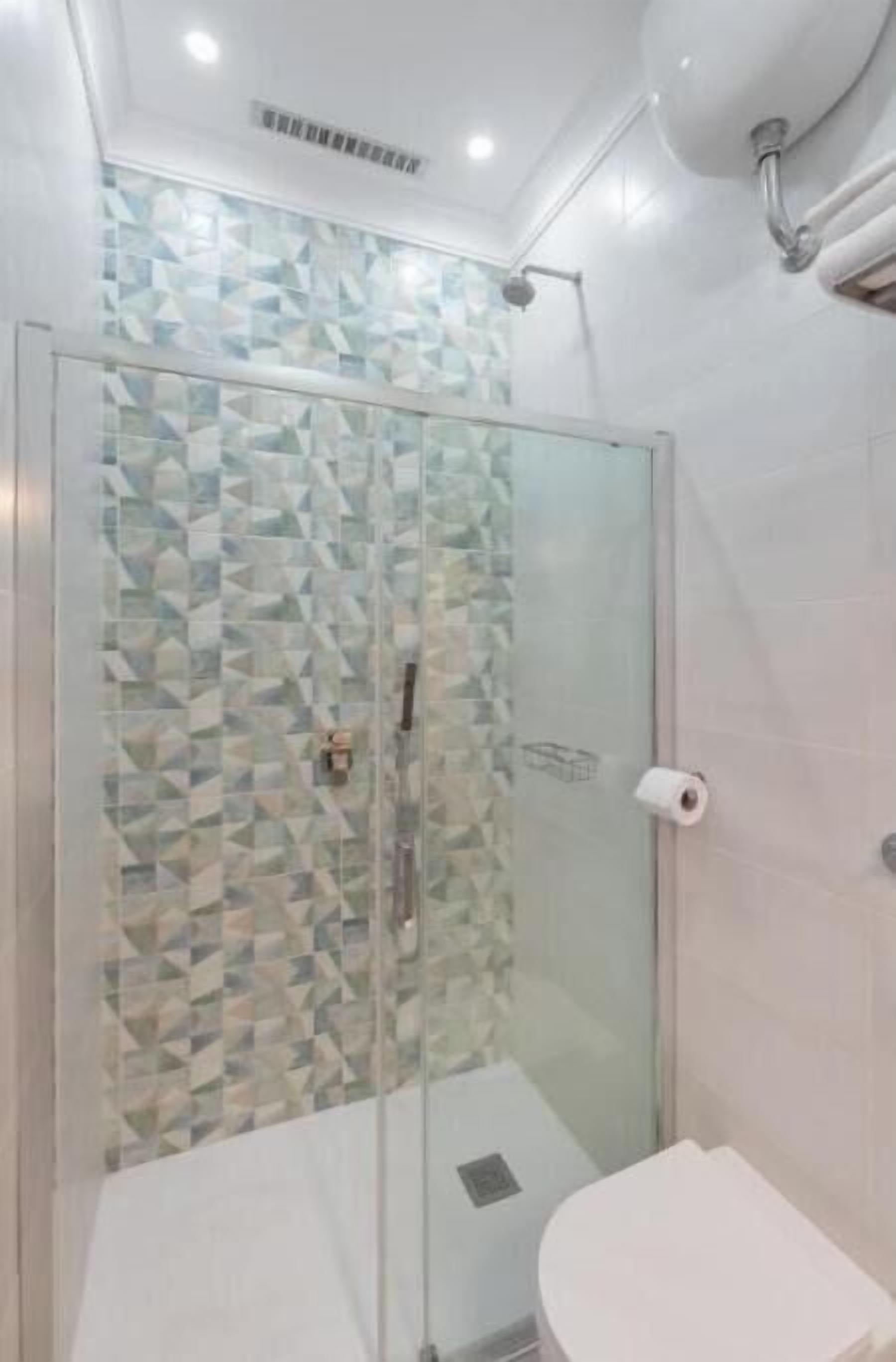 Shower, hair dryer, bidet, towels