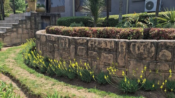 Un jardín ajardinado con muro de piedra, flores amarillas y un edificio de techo plano y unidades de aire acondicionado.