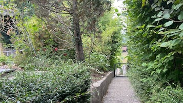 Un camí estret delimitat per vegetació abundant i una paret de pedra, que condueix a un edifici amb entrada visible.