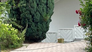 Un camino de adoquines que conduce a una verja blanca, rodeada de follaje y un alto pino.