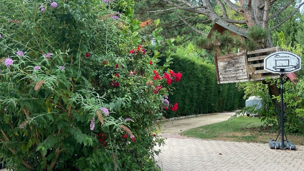 Un jardín con un aro de baloncesto y un letrero de madera.