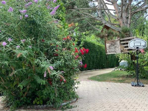 Un jardín con un aro de baloncesto y un letrero de madera.