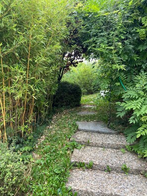 A stone pathway surrounded by dense greenery and bamboo.