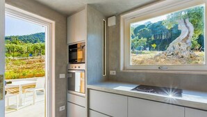 Eine moderne Küche mit Einbauofen und Blick auf eine natürliche Landschaft.