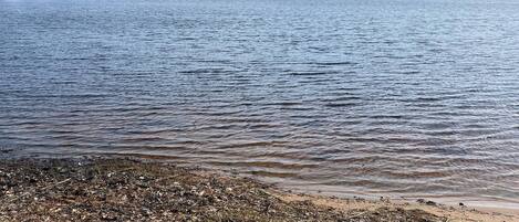 A lake with a sandy shore and a forest in the background.