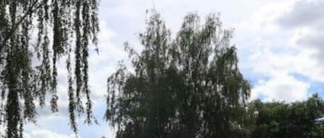 泳池