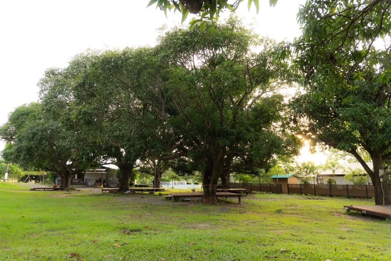 Un parque con mesas de picnic y un área de juegos.