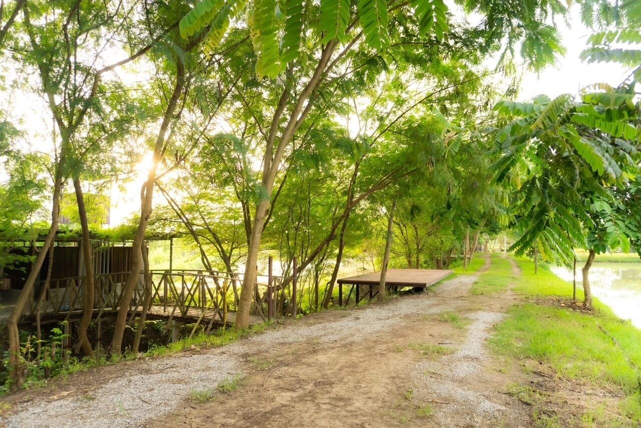 A gravel path leading to a wooden structure with a bench, surrounded by trees and a body of water.