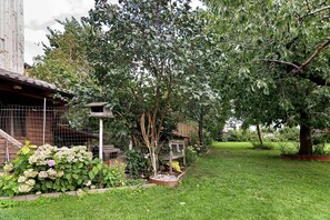 Ein Garten mit einer hölzernen Struktur, einem Vogelhaus und einer Rasenfläche.