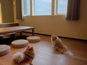 Dining - A 2 Queen 2 Single Wing Beds 6 people Pets allowed / Abuta District Hokkaidō (Abuta District)