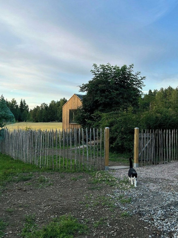 A rural property with a wooden structure, a gravel path, and a wooden fence.