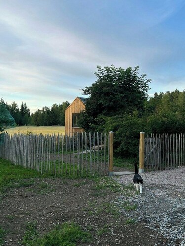 Micro house in a rose garden on a smallholding
