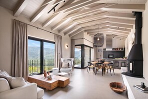 A modern living room with a fireplace, dining area, and kitchen. - Villa Panorama Del Tartufo (Buzet)
