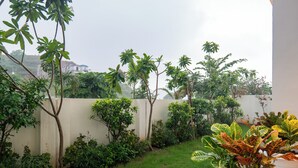 Un jardí amb diverses plantes i una paret blanca de fons.
