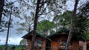 A cabin with a stone wall and wooden deck, surrounded by trees. - Pine Wood Nirvana Jungle Resorts (Shimla)