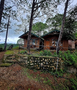 Exterior - Pine Wood Nirvana Jungle Resorts (Shimla)
