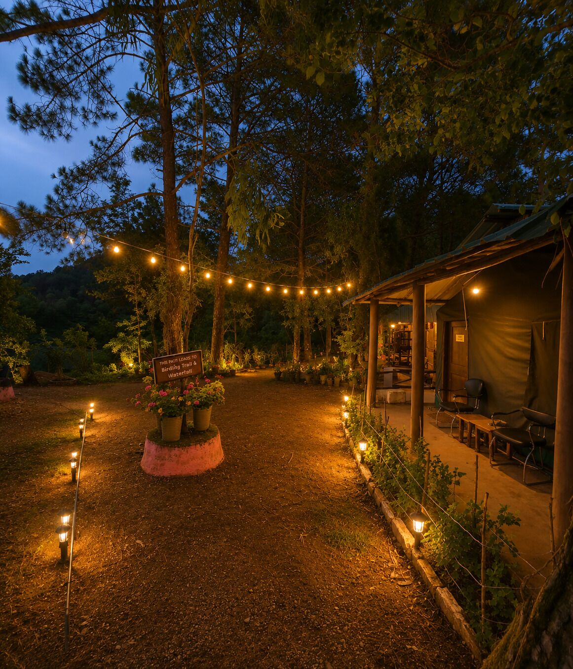 Un camping con una zona de comedor cubierta, luces colgantes y un cartel que indica un sendero para observar aves.