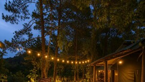 A campsite with a covered dining area, string lights, and a sign indicating a birding trail. - Pine Wood Nirvana Jungle Resorts (Shimla)