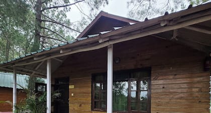Pine Wood Nirvana Jungle Resorts