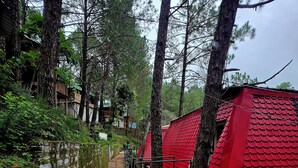 A pathway leading to red-roofed cabins surrounded by trees. - Pine Wood Nirvana Jungle Resorts (Shimla)