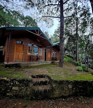 Exterior - Pine Wood Nirvana Jungle Resorts (Shimla)