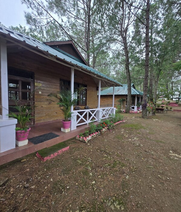 A wooden cabin with a porch, potted plants, and a garden area.