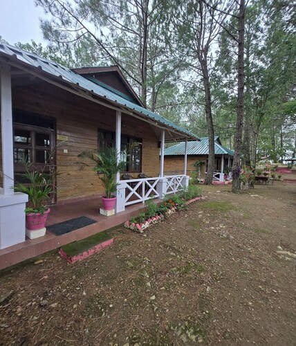 Pine Wood Nirvana Jungle Resorts