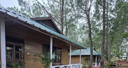 Pine Wood Nirvana Jungle Resorts