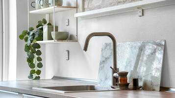 Una cocina con un lavamanos de acero inoxidable, un salpicadero de mármol y una planta a la izquierda.
