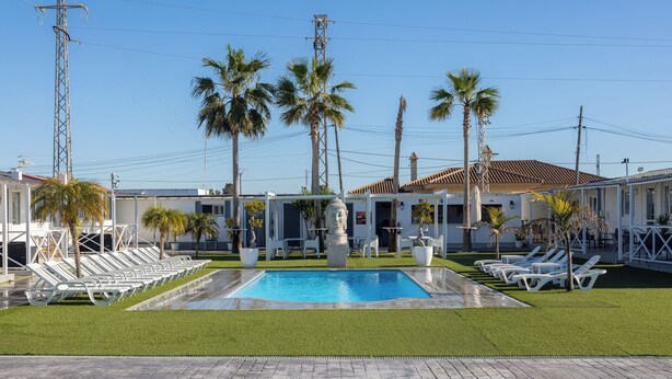 Una piscina circondata da palme e poltrone prendisole, con un edificio sullo sfondo.