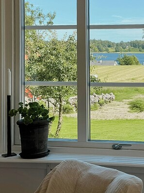 Ein Fenster mit Blick auf eine Wiese und ein Gewässer.