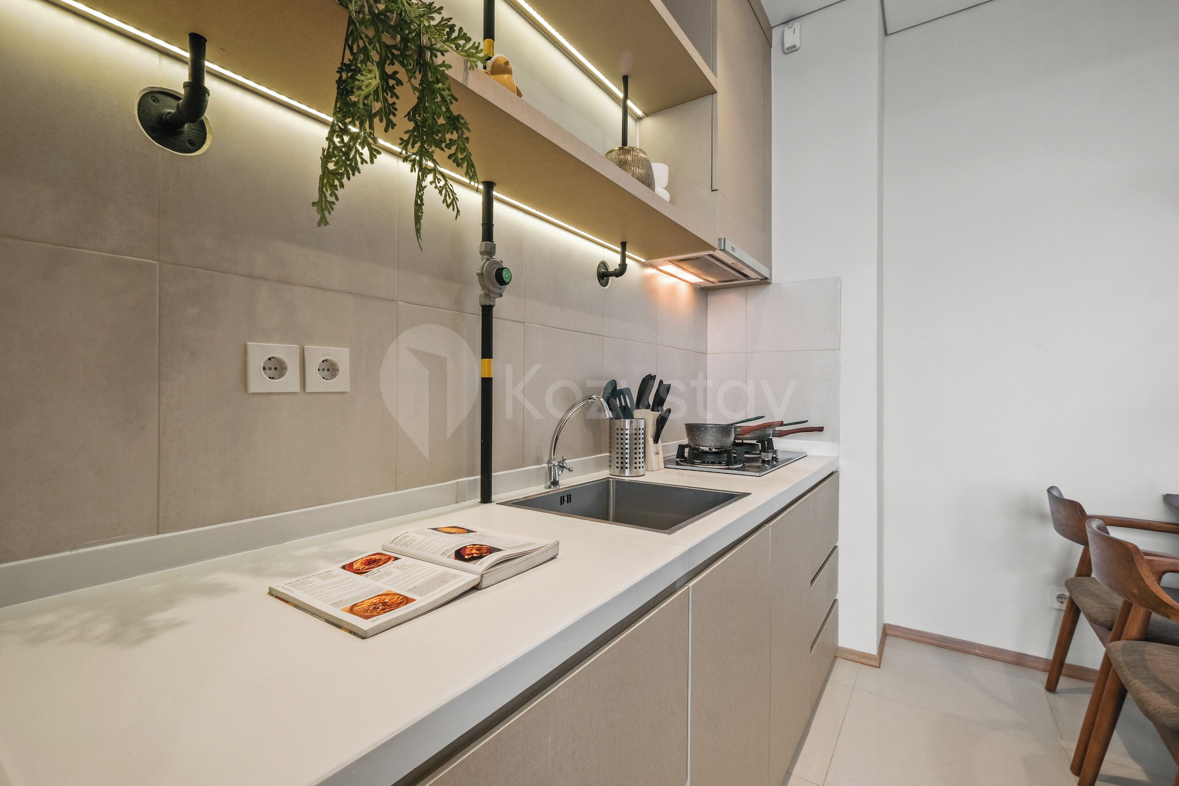 A modern kitchen with a built-in sink, a stove, and a hanging plant.