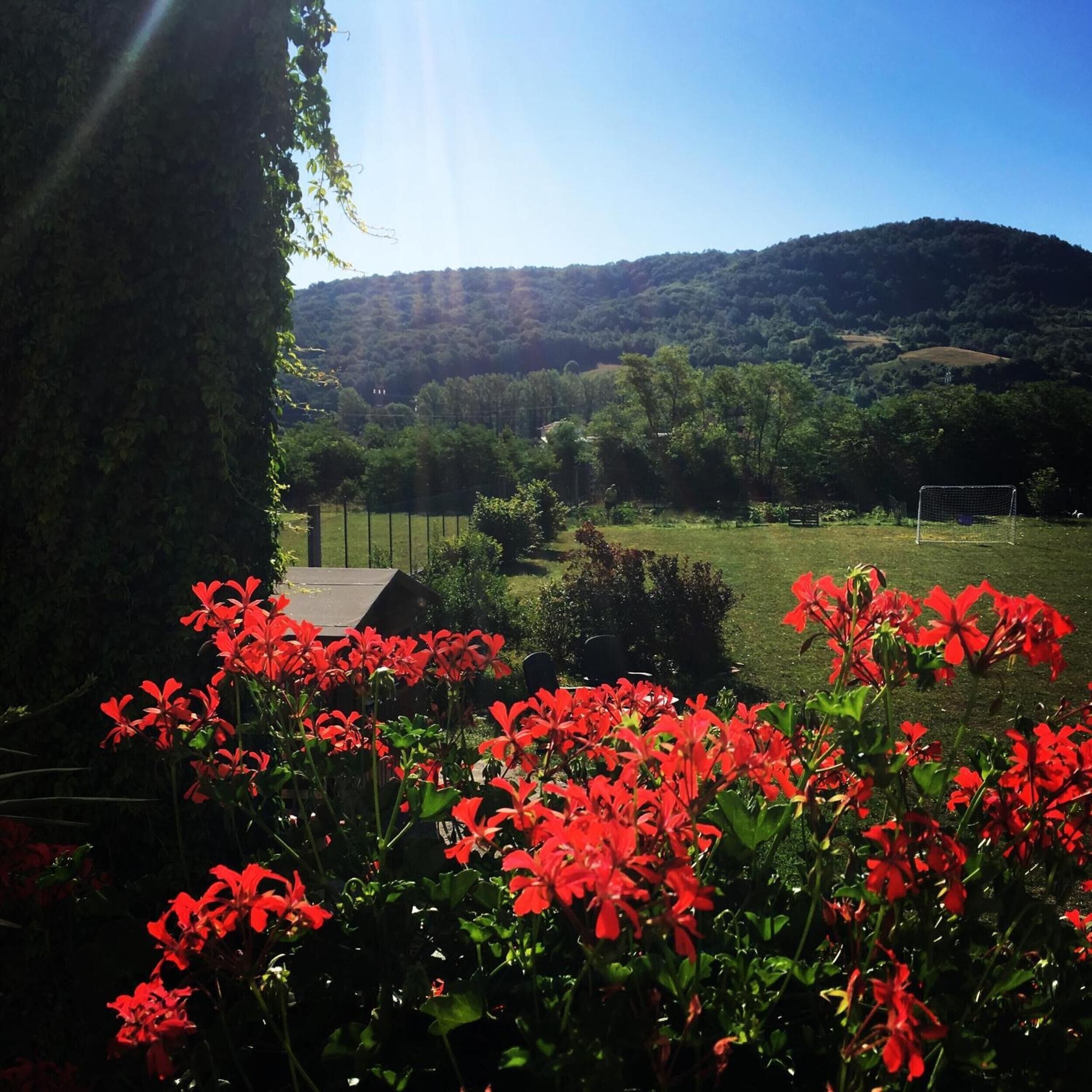Parco della struttura