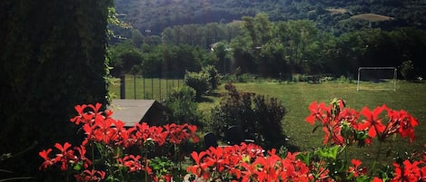 Vista de un paisaje verde exuberante con un arco de fútbol, un campo de césped y una colina al fondo.