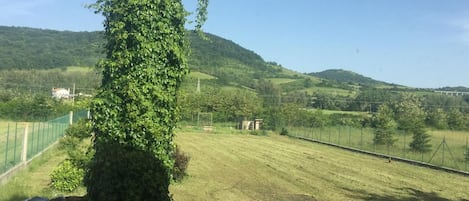 Paisaje rural con un campo cubierto de pasto, una cerca y una colina al fondo.