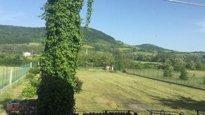 A rural landscape with a grassy field, a fence, and a hill in the background.