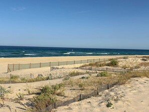 Ein sandiger Strand mit einer Holzlattenzaun und vereinzelter Vegetation.