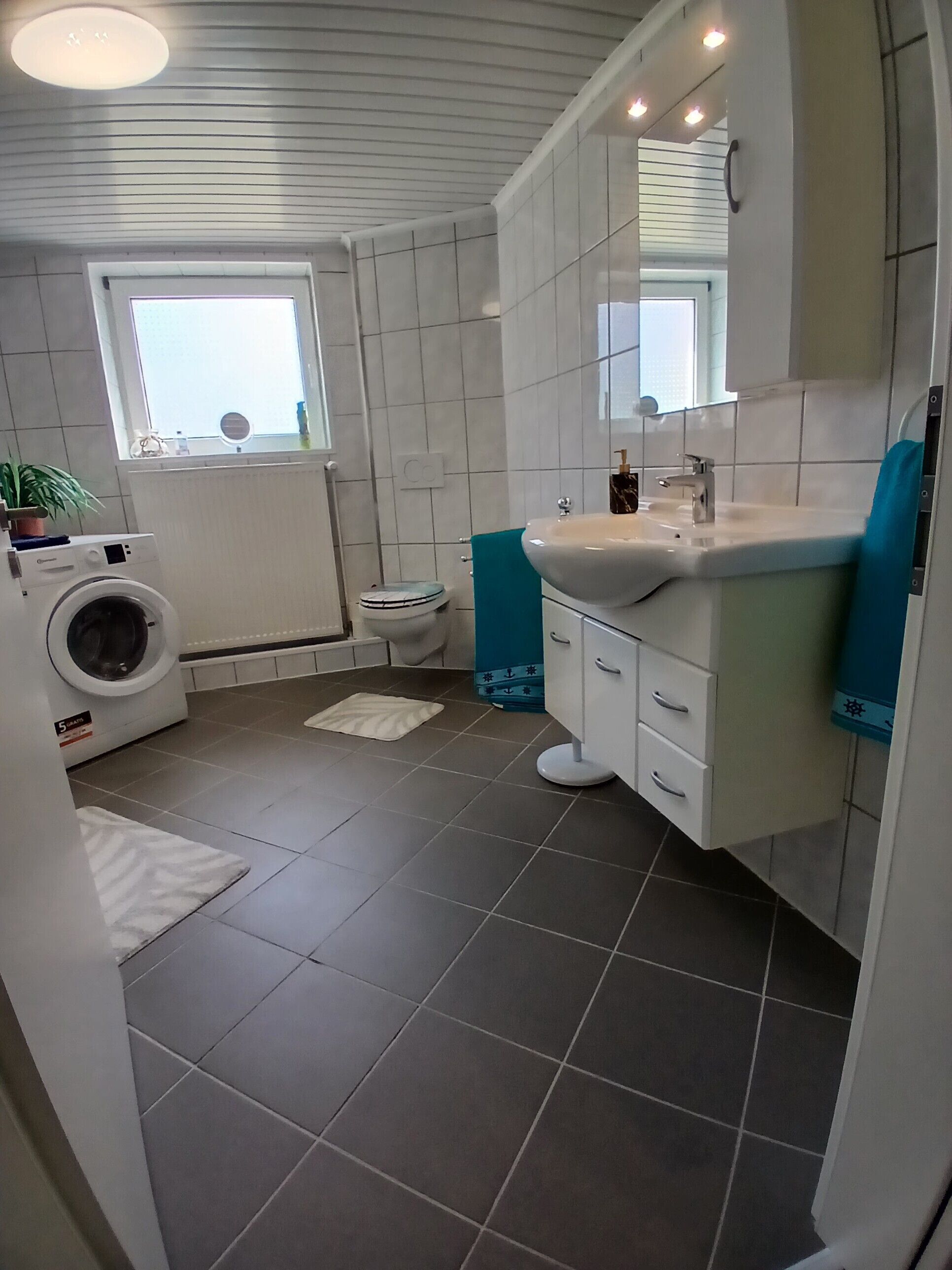 Dusche, Haartrockner, Handtücher