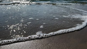 Ranta