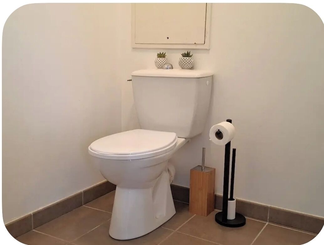 Regadera, secadora de cabello, toallas, papel de baño 