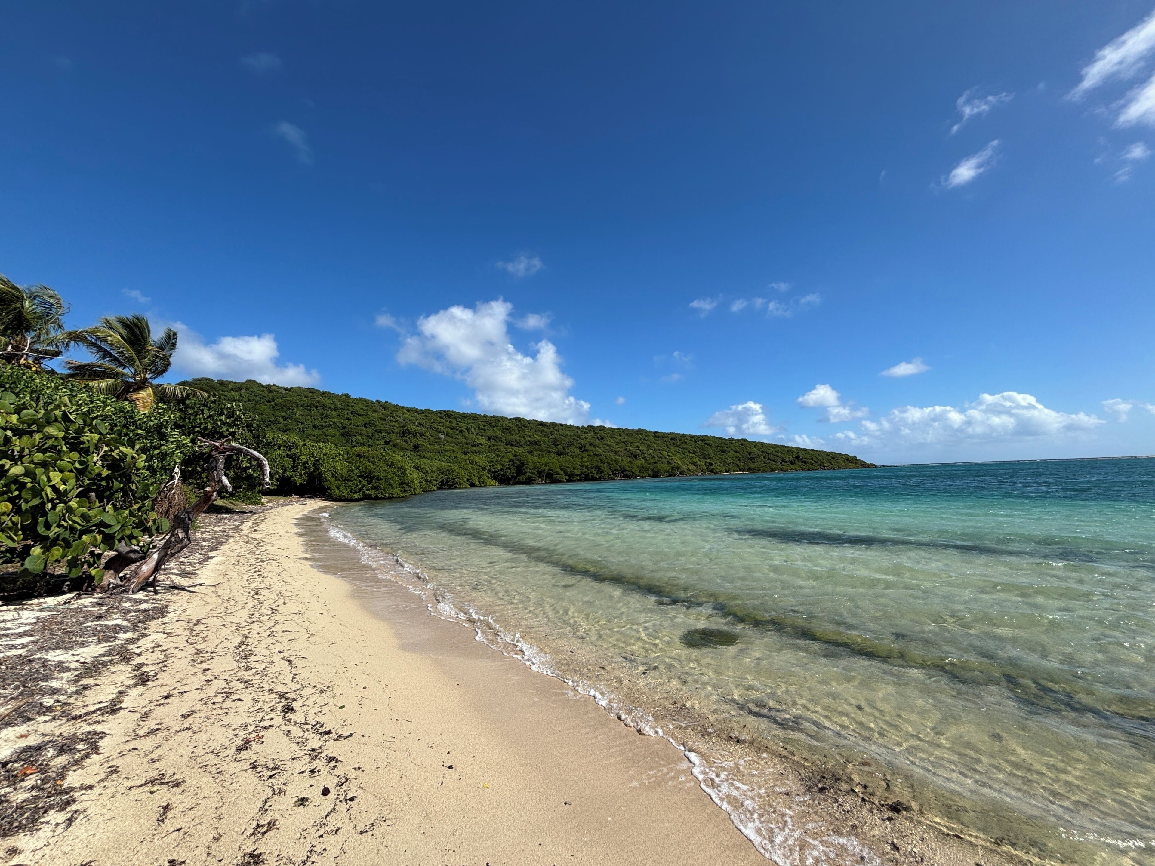 Una playa con aguas turquesas cristalinas, orilla de arena y exuberante vegetación verde.
