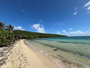 A beach with clear turquoise water, sandy shore, and lush green vegetation. - Remote Quiet Location Amazing Culebra Views (Ceiba)